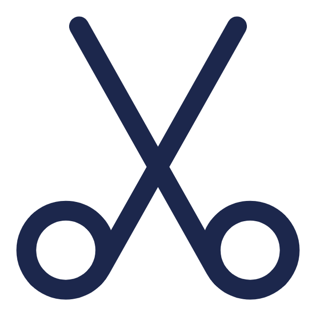 Category Icon