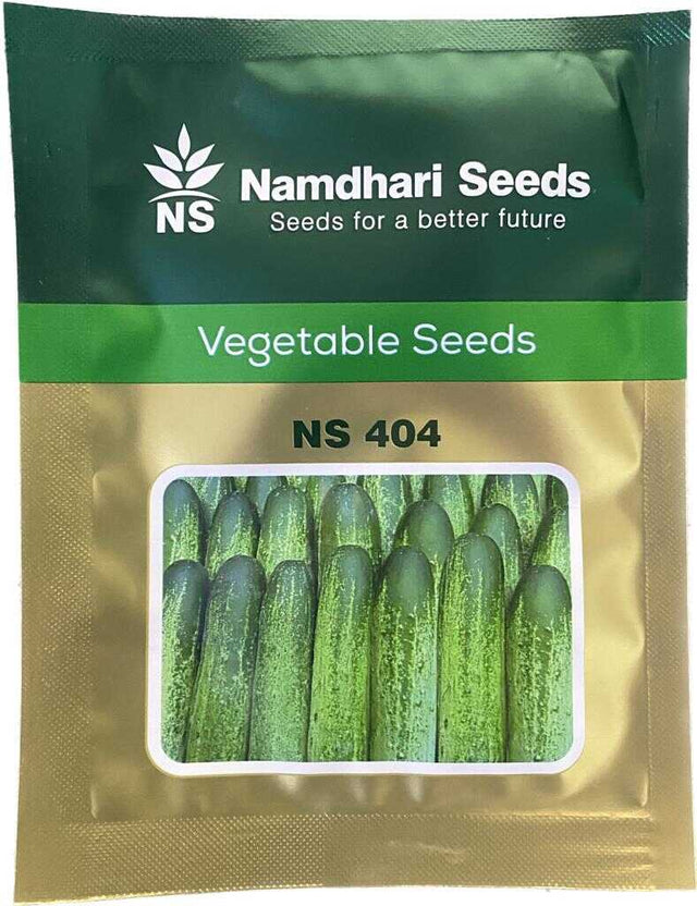 NS 404 F1 Hybrid Cucumber Seeds – High Yield & Quality Fruits
