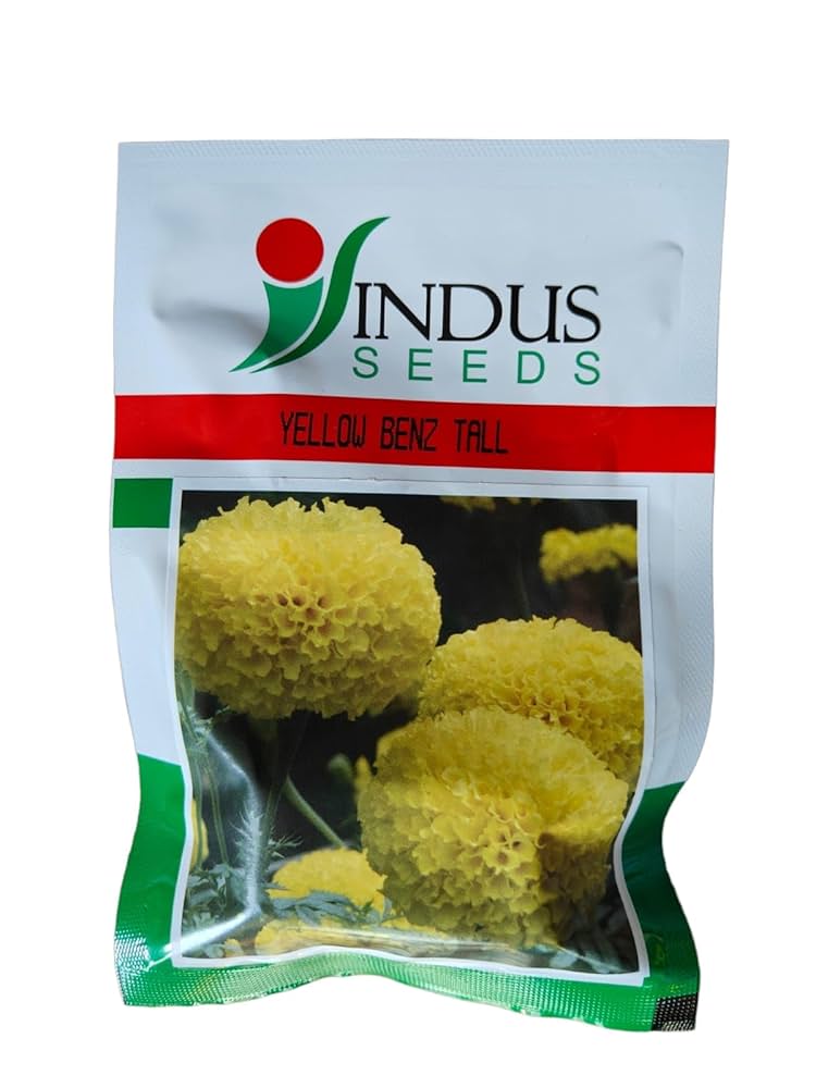 BENZ TALL MARIGOLD